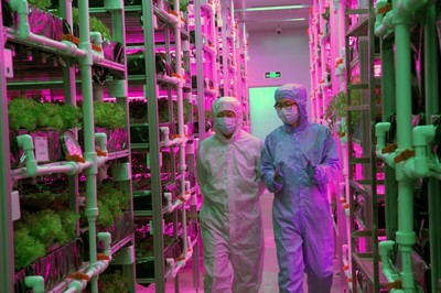 中科院学部咨询项目“中国植物工厂发展趋势与产业化”第二次院士咨询研讨会在北京召开